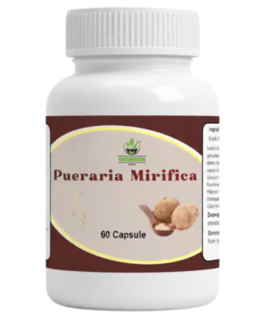 pueraria-mirifica