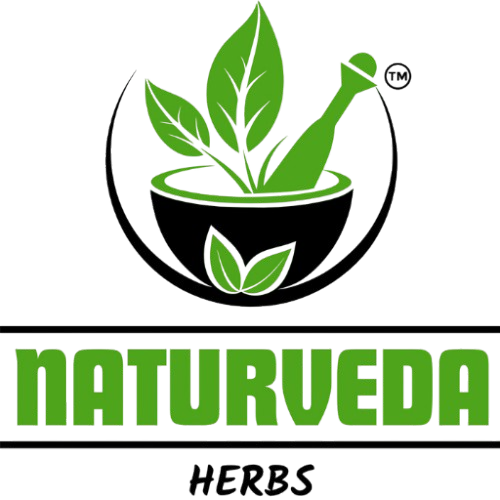 logo removebg preview